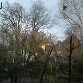 初めての…／今日はニットの日の画像