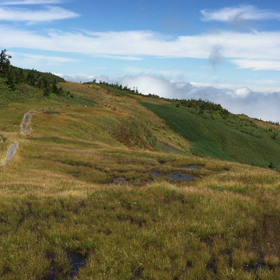 天国だよの画像