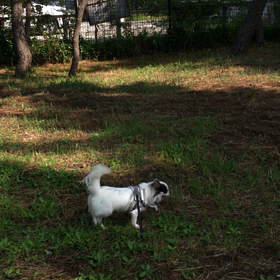 久しぶりの晴れ間の画像