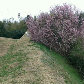 2020/03/07　スローモーションの画像