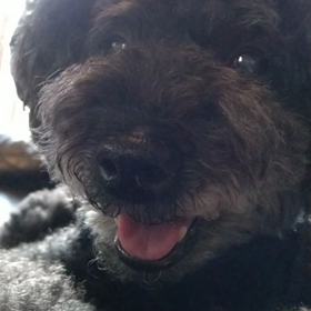 初秋の候 2020の画像