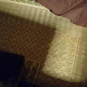 琥珀くんの動画の画像