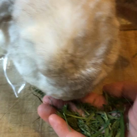 かすまでキレイにの画像