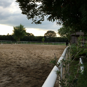 練習の日々の画像