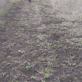 お散歩＃２。の画像