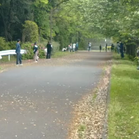 リレー選考会(男子)ゴール付近⑧の画像