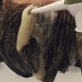 活性酸素除去の画像