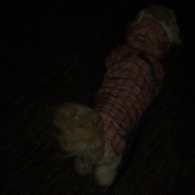 ☆ 速かったよ♪ ☆の画像