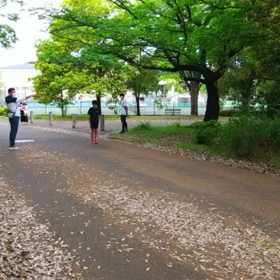 リレー選考会(男子)スタート付近⑬の画像