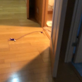 クリスマス会の準備！デールにフェイントかけたら、一言言われた。の画像