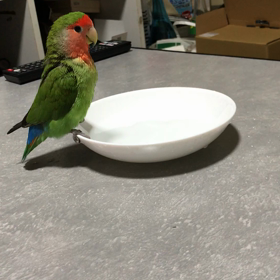 PTA研究会。。。の画像