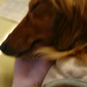 好きにしてぇ(￣ー￣)の画像