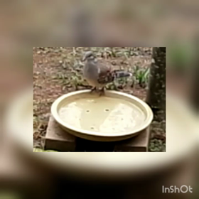 久しぶりの画像