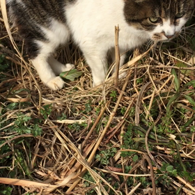 試験動画の画像