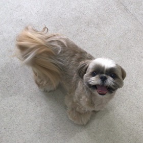 ♪プレイルーム動画♪①の画像