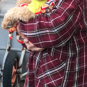 トイプードルのモコが歌います♪( ´▽｀)笑の画像