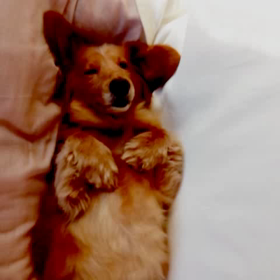 ツボマッサージの画像