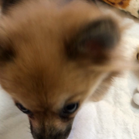 朝からもーの画像