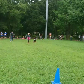 ダッシュ(白・その他グループ)⑤の画像