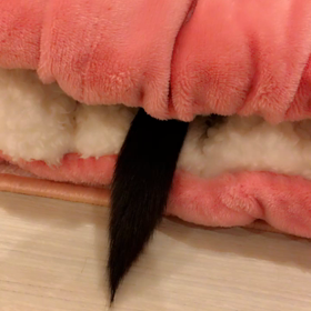 尻尾までは感覚来てないの？の画像