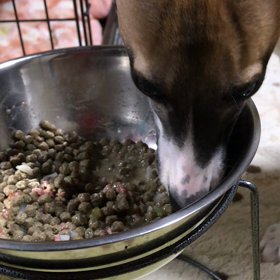 母しゃん美味しいでしゅの画像