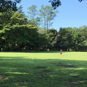 9月5日 400インターバル中間点①の画像