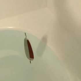 スイムテストの画像