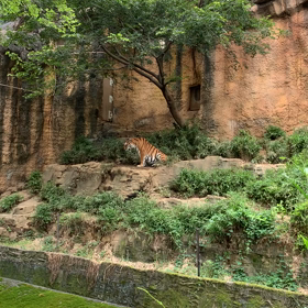 何処かへ行きたい症候群(笑)の画像