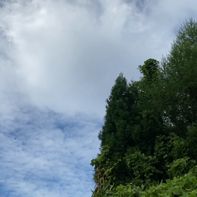 “自然と音遊び” プロジェクト vol.072！の画像