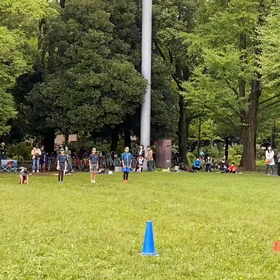 ダッシュ(緑チーム)③の画像