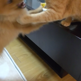 終わりのない遊びの画像