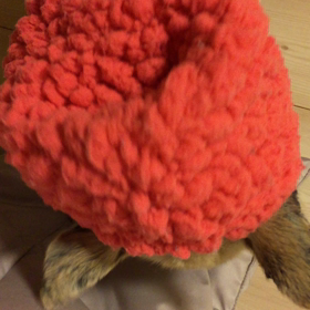 花の画像