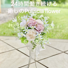 〜抗菌・抗ウイルス・消臭〜　24時間働き続ける癒しのプリシアフラワー　New Lessonの画像
