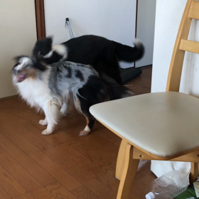 とうとうエアコン稼働！の画像