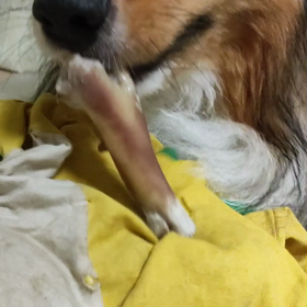 残業が連続二週間目に突入、、の画像