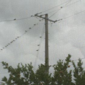 団体のお客様(O_O)の画像