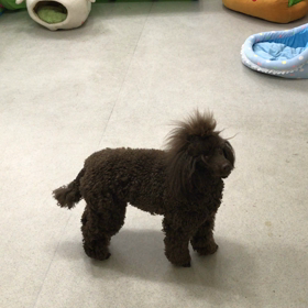 ♪プレイルーム動画♪の画像