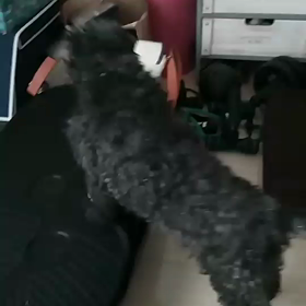 モニカ　ジャンプ♡の画像