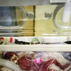 1歳誕生日〜修正8ヶ月の画像