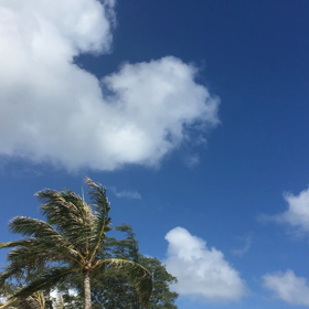 Oahu 動画 3の画像