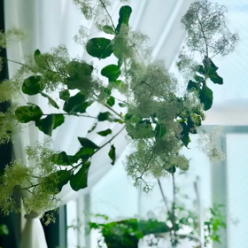 2023/06/22 出張アロマトリートメント♡の画像