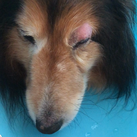 しばらくぶりです…:(´◦ω◦｀):の画像