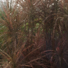 雷と雨がやばすぎて…怖すぎる。の画像