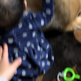 おもしろかったの画像