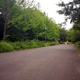 100m記録会 Cグループ③の画像