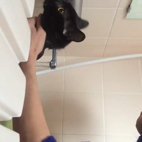 ネロ君、明日出発ですの画像