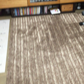 新しいオモチャ！の画像