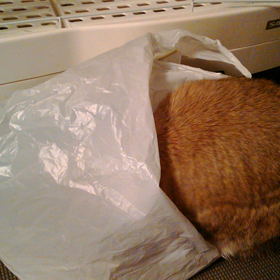 少しずつ…♬の画像