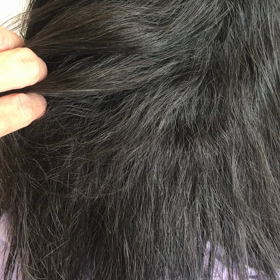 サラサラの画像