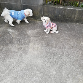 幸せな未来への夢と期待の画像